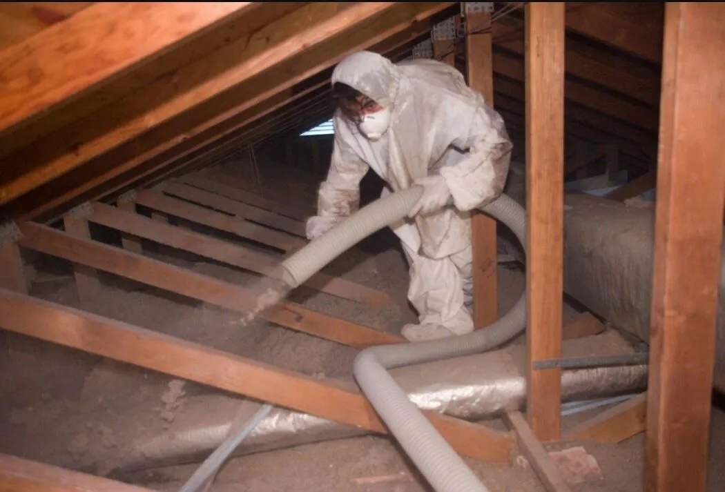 Insulation replacement after wildlife removal